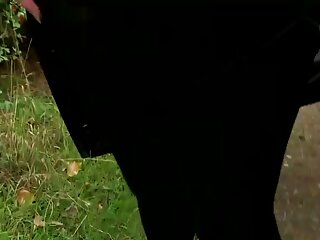جاپانی لڑکی ایکا کے mizuhara پسند فیلم های سکسی روسیه کرنے کے لئے آخر ہو انگلیوں کے ساتھ